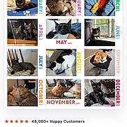 Delilah is registered to the contest to win money with this photo: cat, cats, calendar, product_page, online_store, website, smartphone, screenshot, pet, feline, photographs, twelve_months, january, february, march, april, may, june, july, december