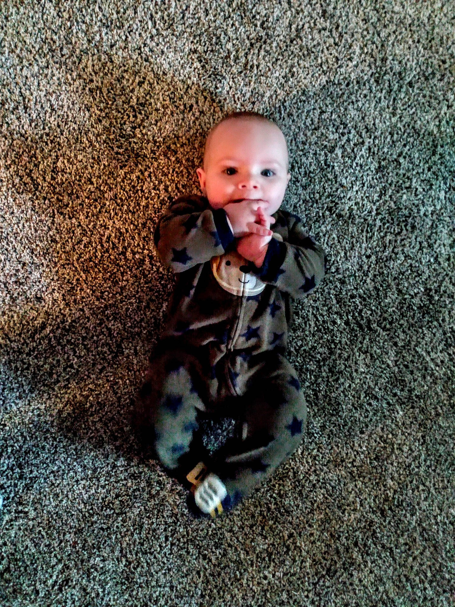 Armani joined the competition — help win amazing prizes! baby, carpet, comfort, eye, fawn, felidae, flooring, fun, fur, grass, grey, head, people_in_nature, person, road_surface, shadow, sitting, tail, toddler, tree