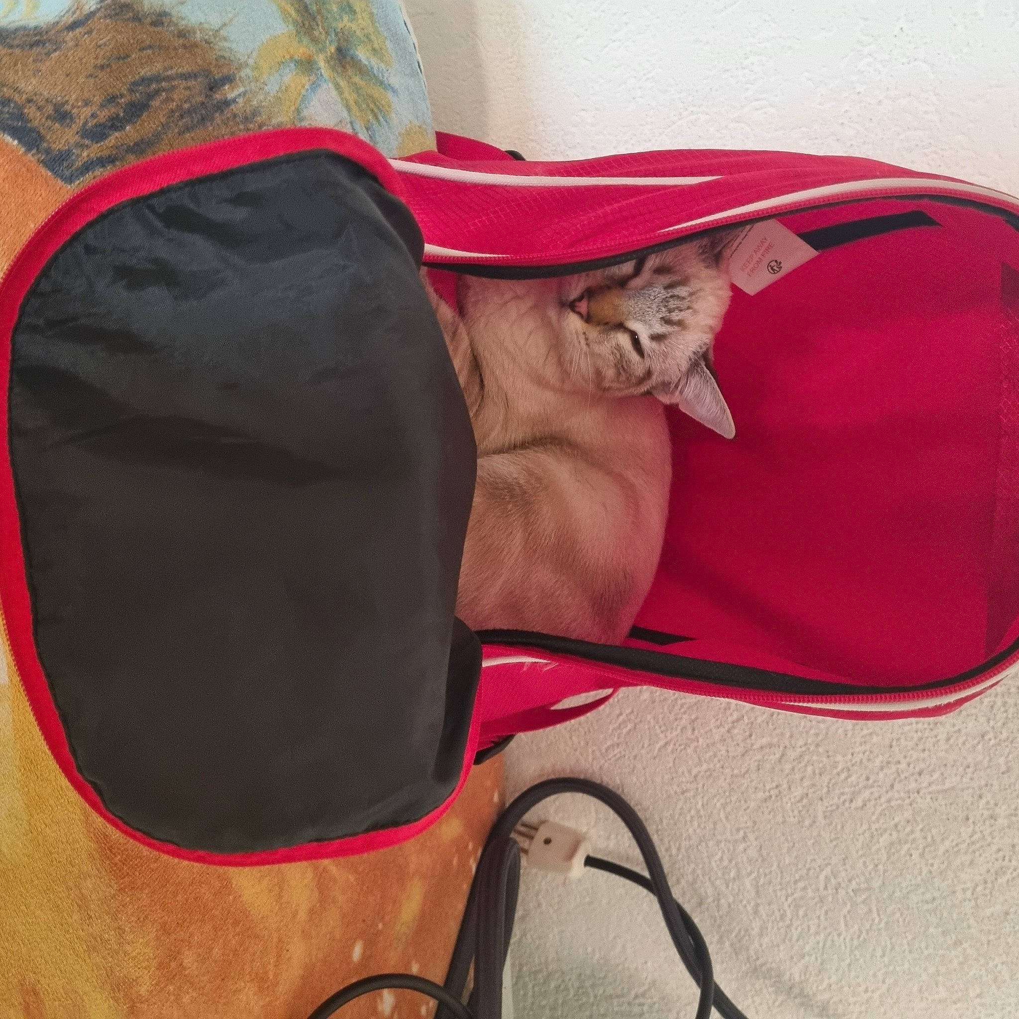 Neve a rejoint le concours — aidez-le/la à gagner de superbes lots ! audio_equipment, bag, baggage, carmine, comfort, costume_hat, eye_glass_accessory, eyewear, fashion_accessory, hat, leather, luggage_and_bags, magenta, personal_protective_equipment, shoulder_bag, sleeve, strap, tints_and_shades, waist, wire