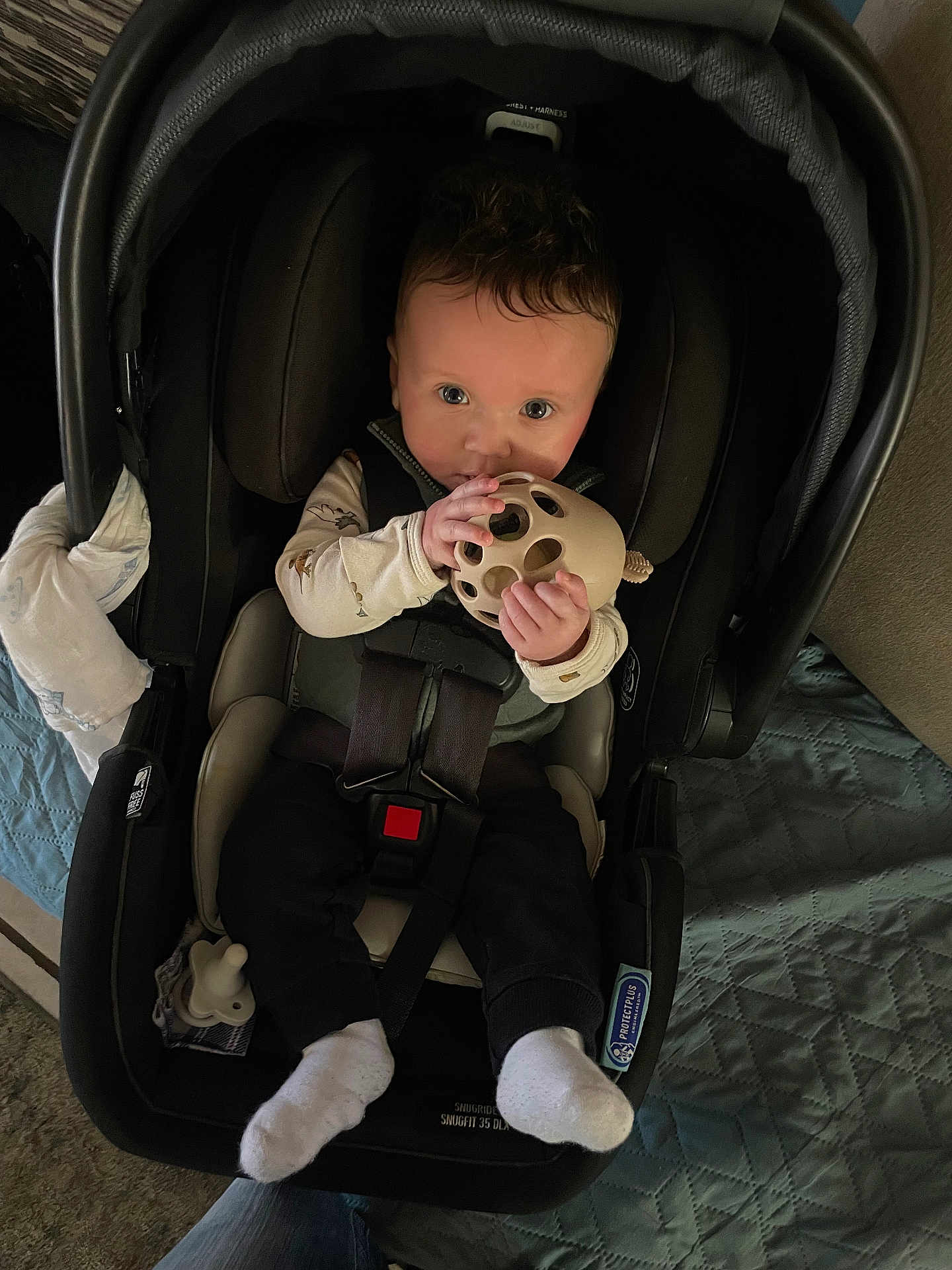 Bryton joined the competition — help win amazing prizes! baby, infant, car_seat, toy, teether, pacifier, socks, seatbelt, hands, wide_eyes, portrait, indoor, blanket, clothing, cushion, comforter, cute, holding_toy, grasping, looking_at_camera