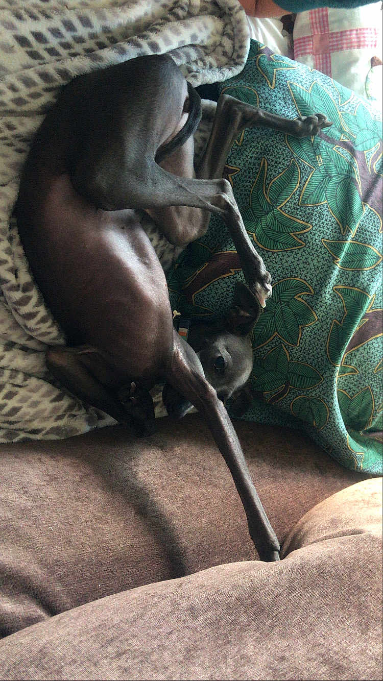 Pepsi Des Princes De Minos