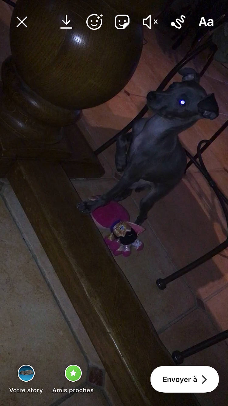 Pepsi Des Princes De Minos participe au concours pour gagner de l'argent avec cette photo : art, darkness, electric_blue, fictional_character, gas, logo, metal, sculpture, tail