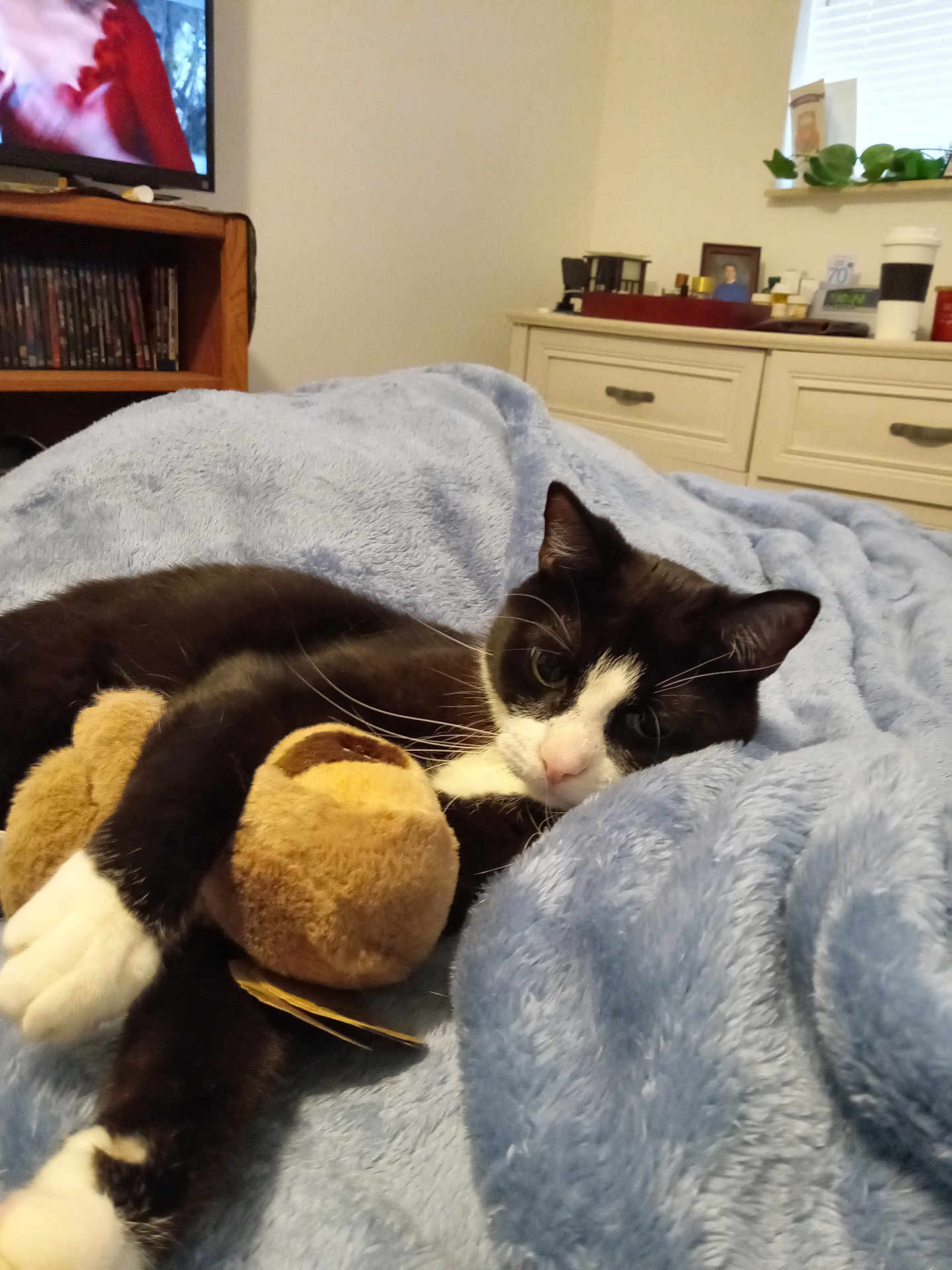 Oreo