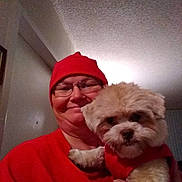 Teddy Bear joined the competition — help win amazing prizes! accessories, animal, baby, canine, cap, clothing, dog, face, glasses, hat, head, lighting, person, pet, photography, plant, portrait, pottedplant, puppy, selfie