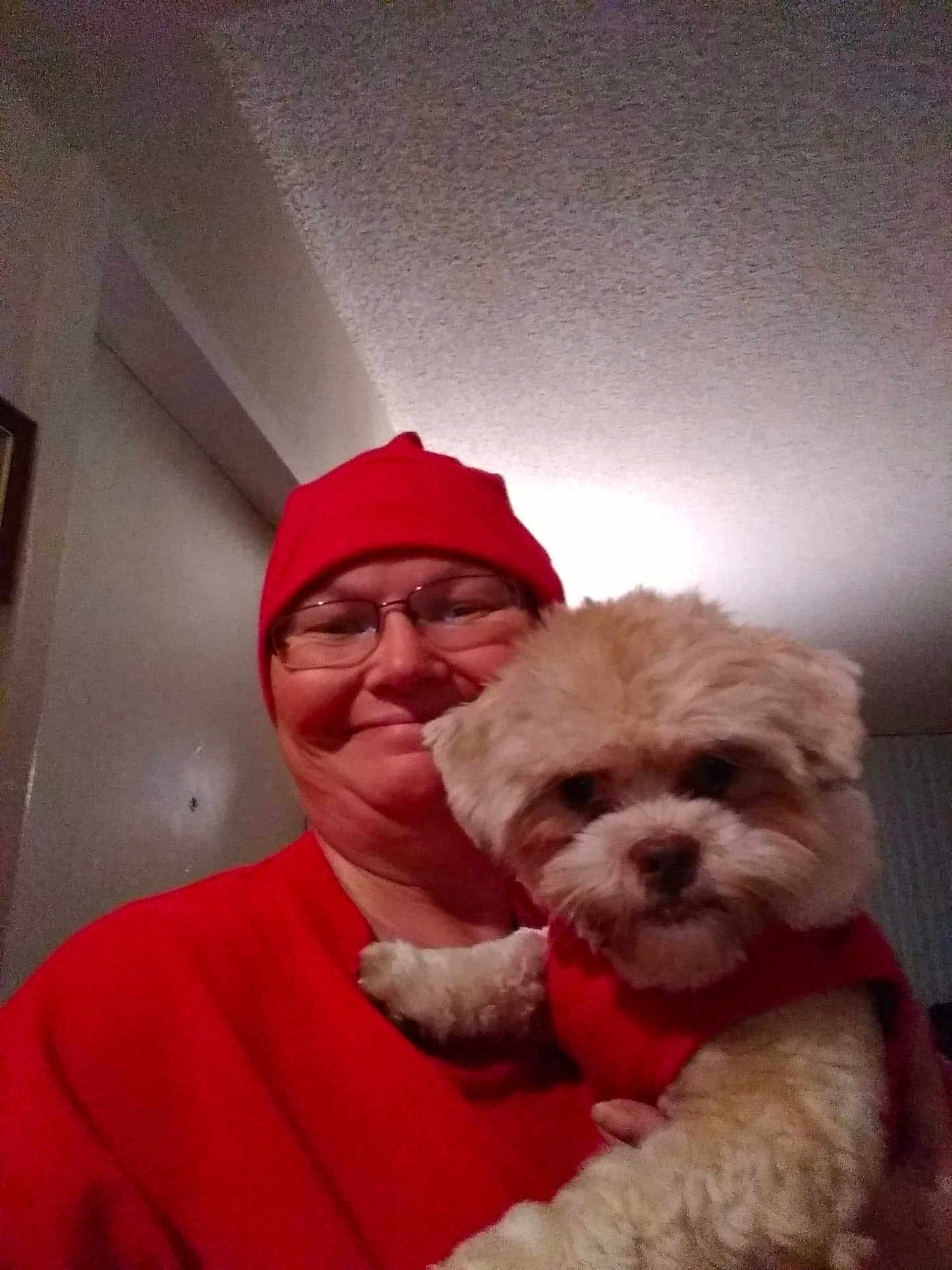 Teddy Bear