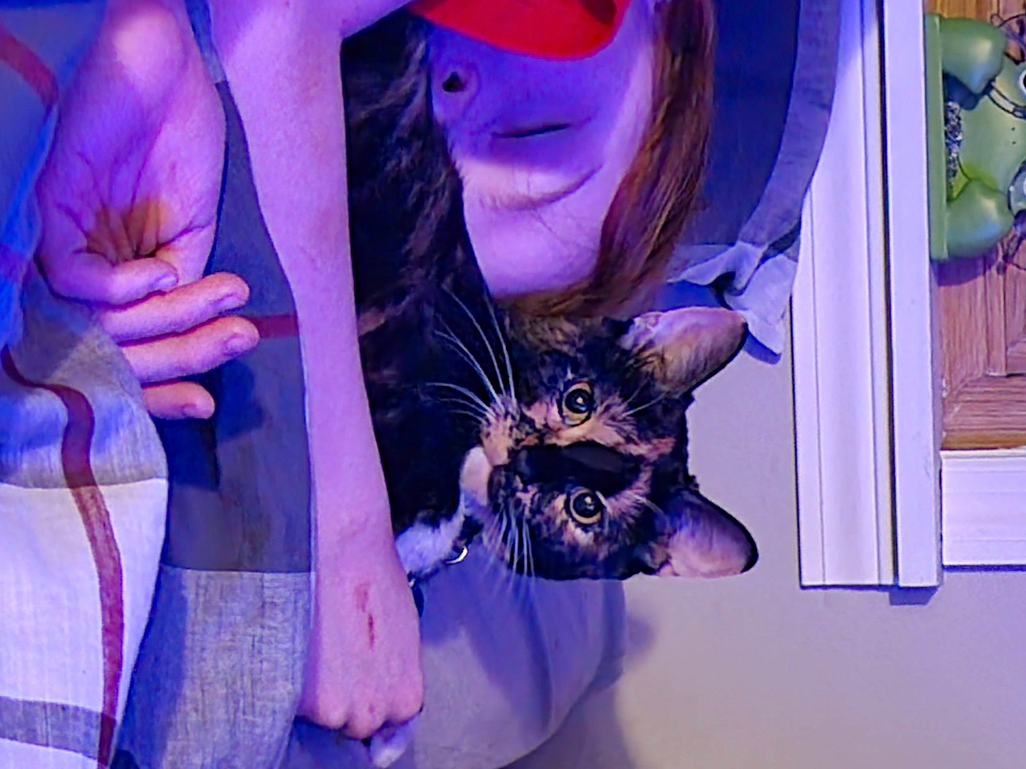 Marbles May Meowington