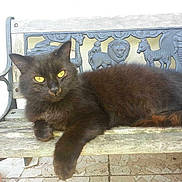 Gaspard a rejoint le concours — aidez-le/la à gagner de superbes lots !