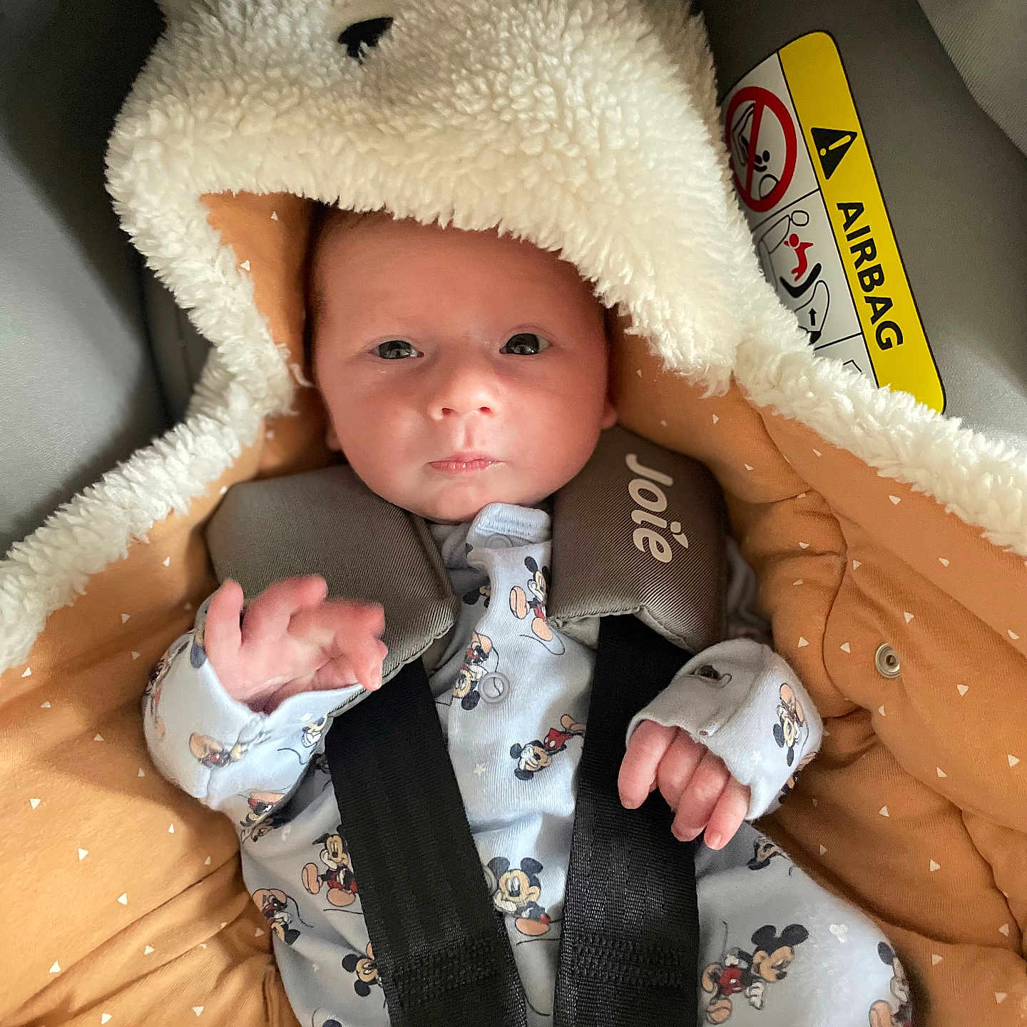 Nino participe au concours pour gagner de l'argent avec cette photo : baby, blanket, car_seat, child, clothing, cute, expression, face, fur, hood, indoor, infant, mickey_mouse, newborn, person, safety, seatbelt, soft, straps, warm