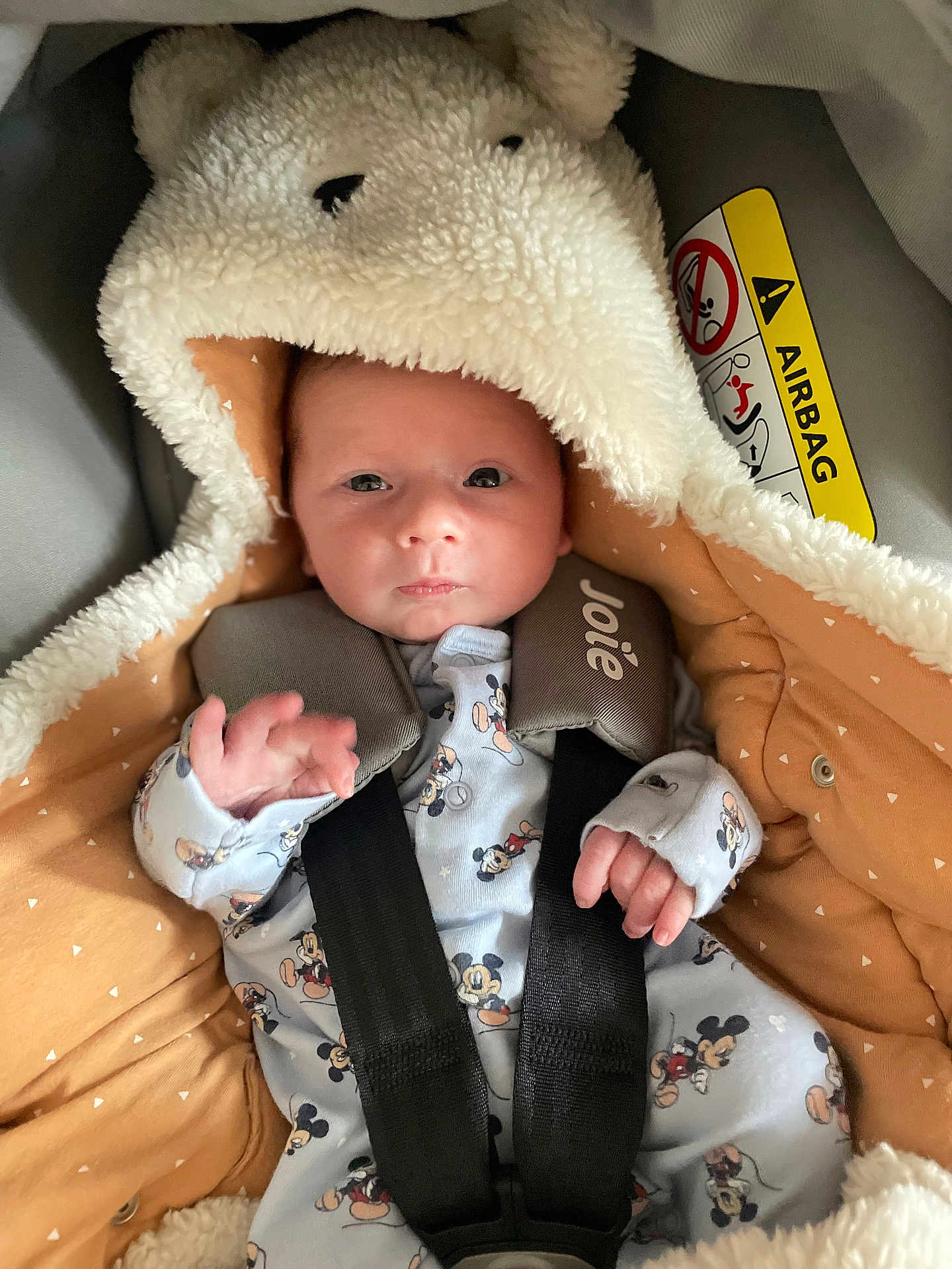 Nino participe au concours pour gagner de l'argent avec cette photo : baby, infant, car_seat, blanket, hood, mickey_mouse, clothing, straps, face, person, child, cute, warm, safety, seatbelt, newborn, expression, indoor, soft, fur