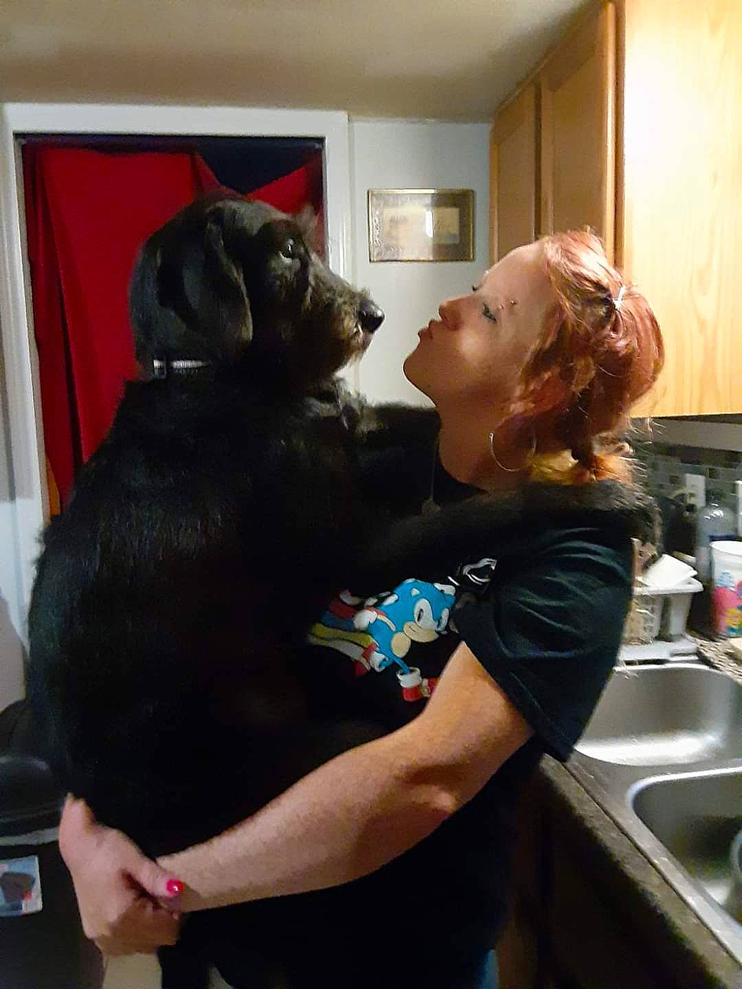 Pippi Mae joined the competition — help win amazing prizes! art, carnivore, companion_dog, cooking, countertop, curtain, felidae, fur, home_appliance, homemaker, kitchen, kitchen_appliance, kitchen_sink, picture_frame, plumbing_fixture, room, sculpture, sink, t_shirt, tap