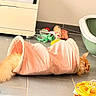 Uno participe au concours pour gagner de l'argent avec cette photo :