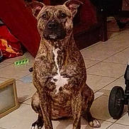 Karla participe au concours pour gagner de l'argent avec cette photo :