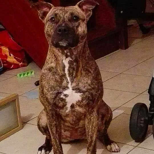 Karla participe au concours pour gagner de l'argent avec cette photo :