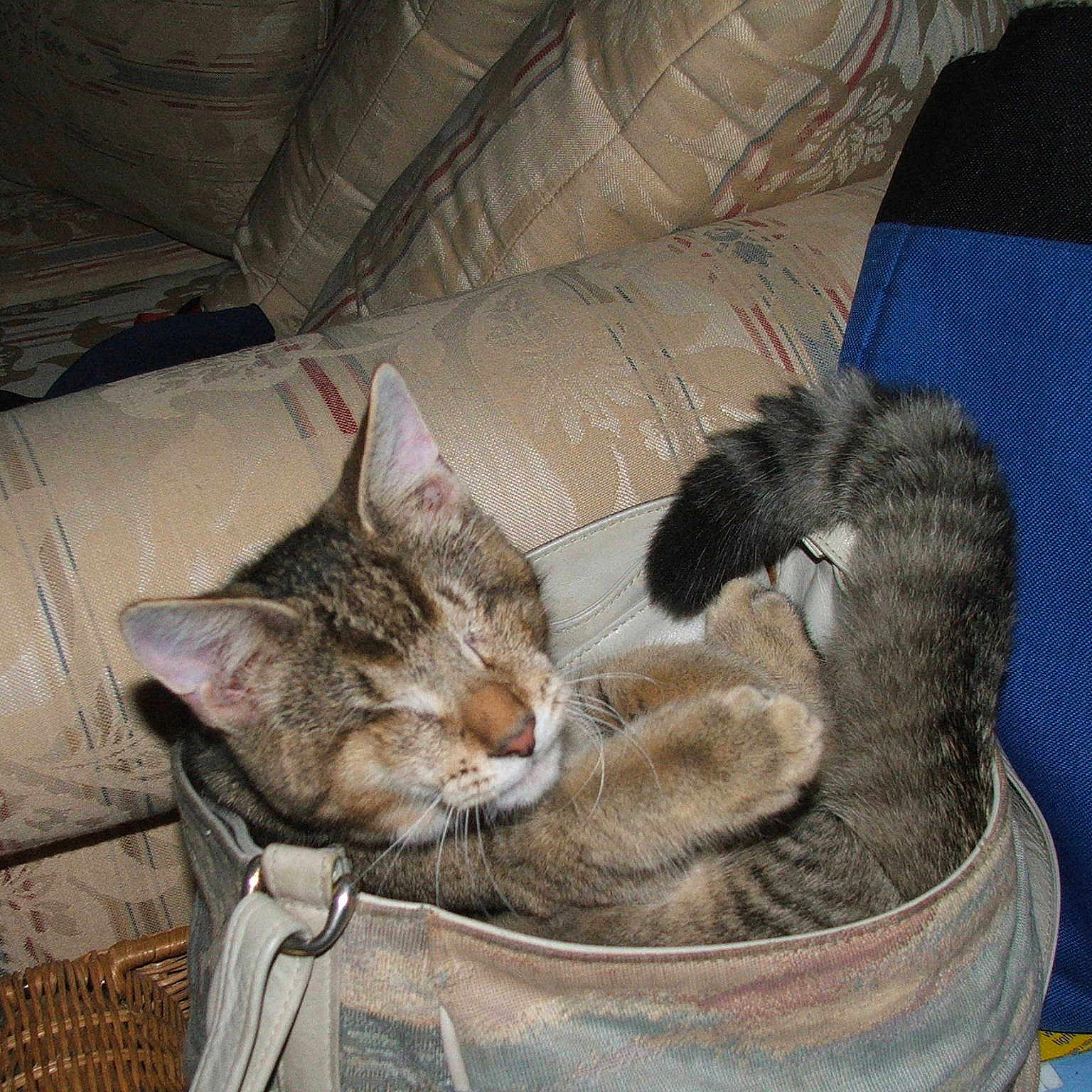 Seymore is registered to the contest to win money with this photo: