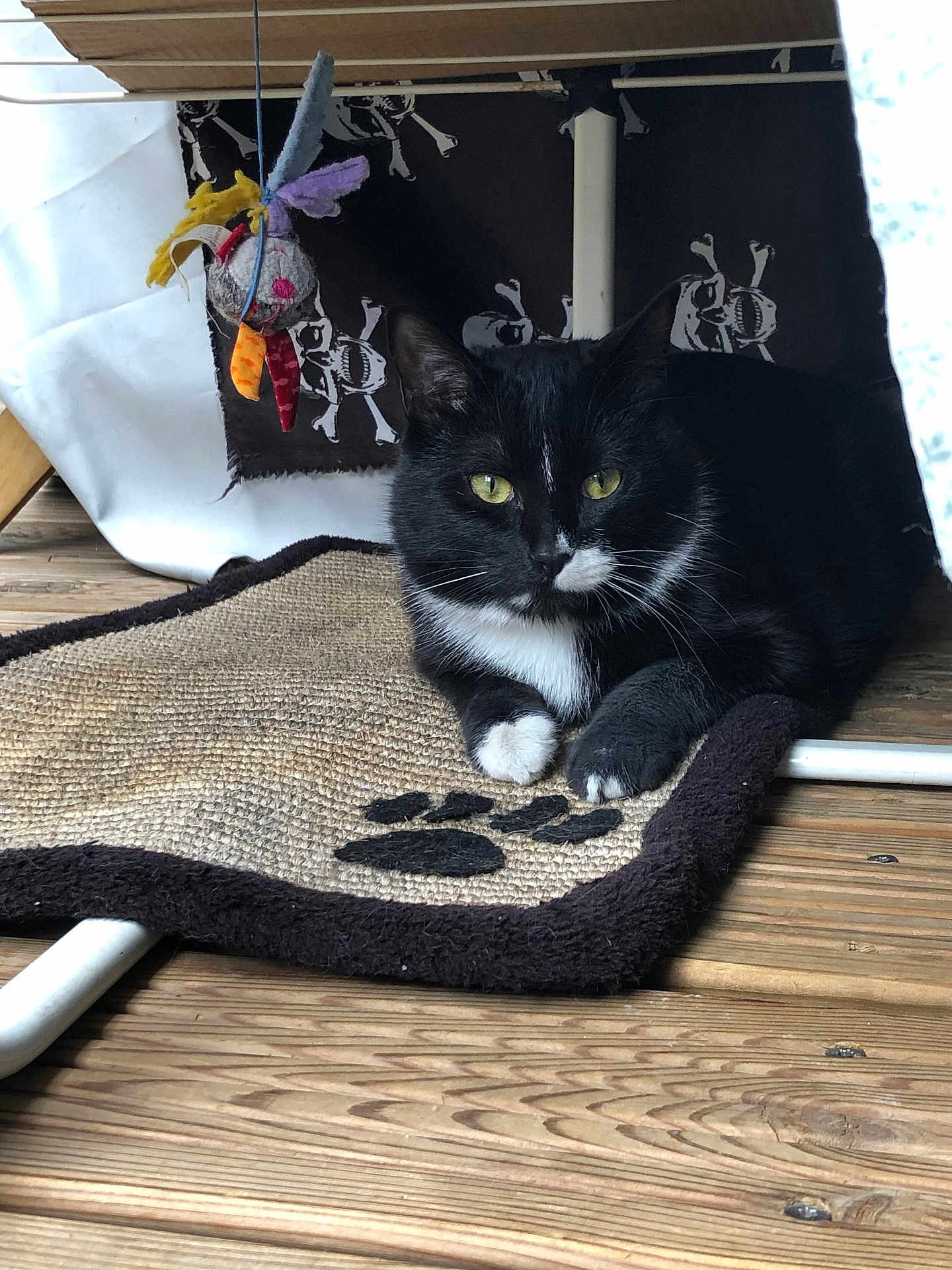 Lou