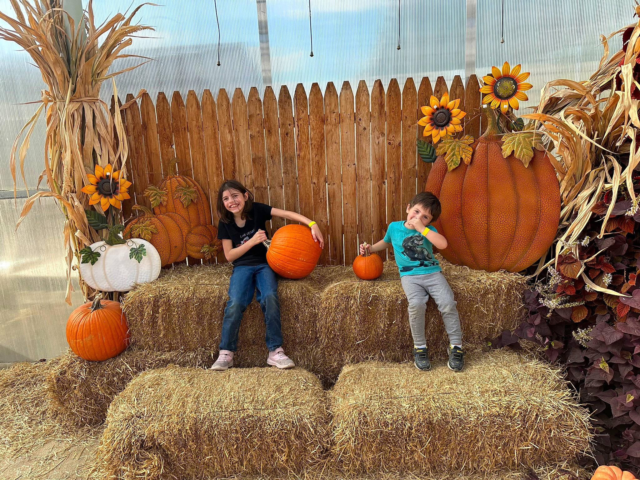 Robert joined the competition — help win amazing prizes! agriculture, calabaza, cucurbita, fun, gourd, grass, hay, joy, leisure, local_food, natural_foods, orange, people, people_in_nature, person, plant, pumpkin, squash, vegetable, whole_food