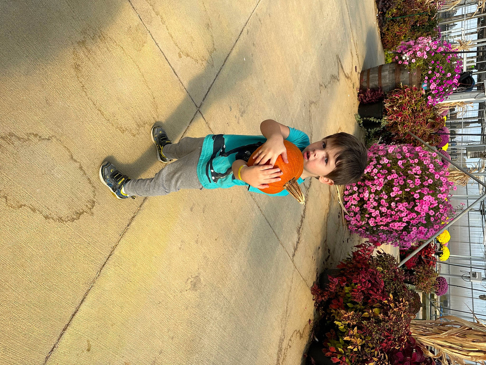 Robert is registered to the contest to win money with this photo: adventure, child, climbing, concrete, flooring, flower, flowerpot, fun, happy, landscape, leisure, person, plant, recreation, sandal, shadow, sidewalk, sport_climbing, street, toddler