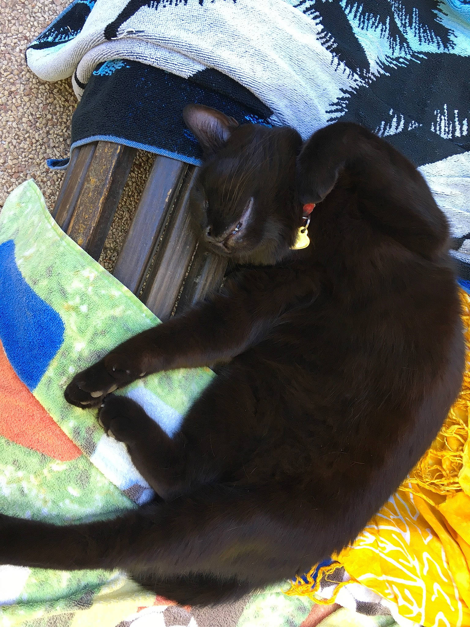 Eugène participe au concours pour gagner de l'argent avec cette photo :