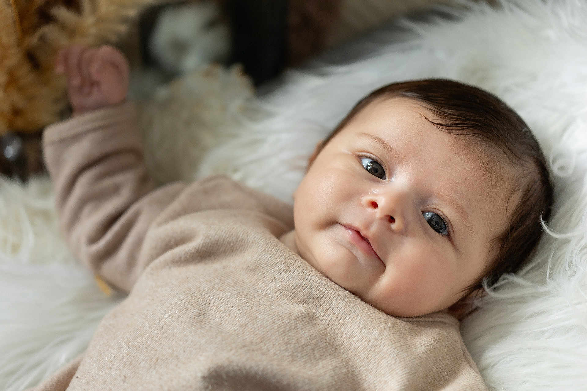 Kélyo participe au concours pour gagner de l'argent avec cette photo : baby, infant, face, portrait, lying_down, cozy, cute, soft_texture, fluffy, white_background, clothing, child, smile, hair, skin, indoors, peaceful, closeup, warm, young