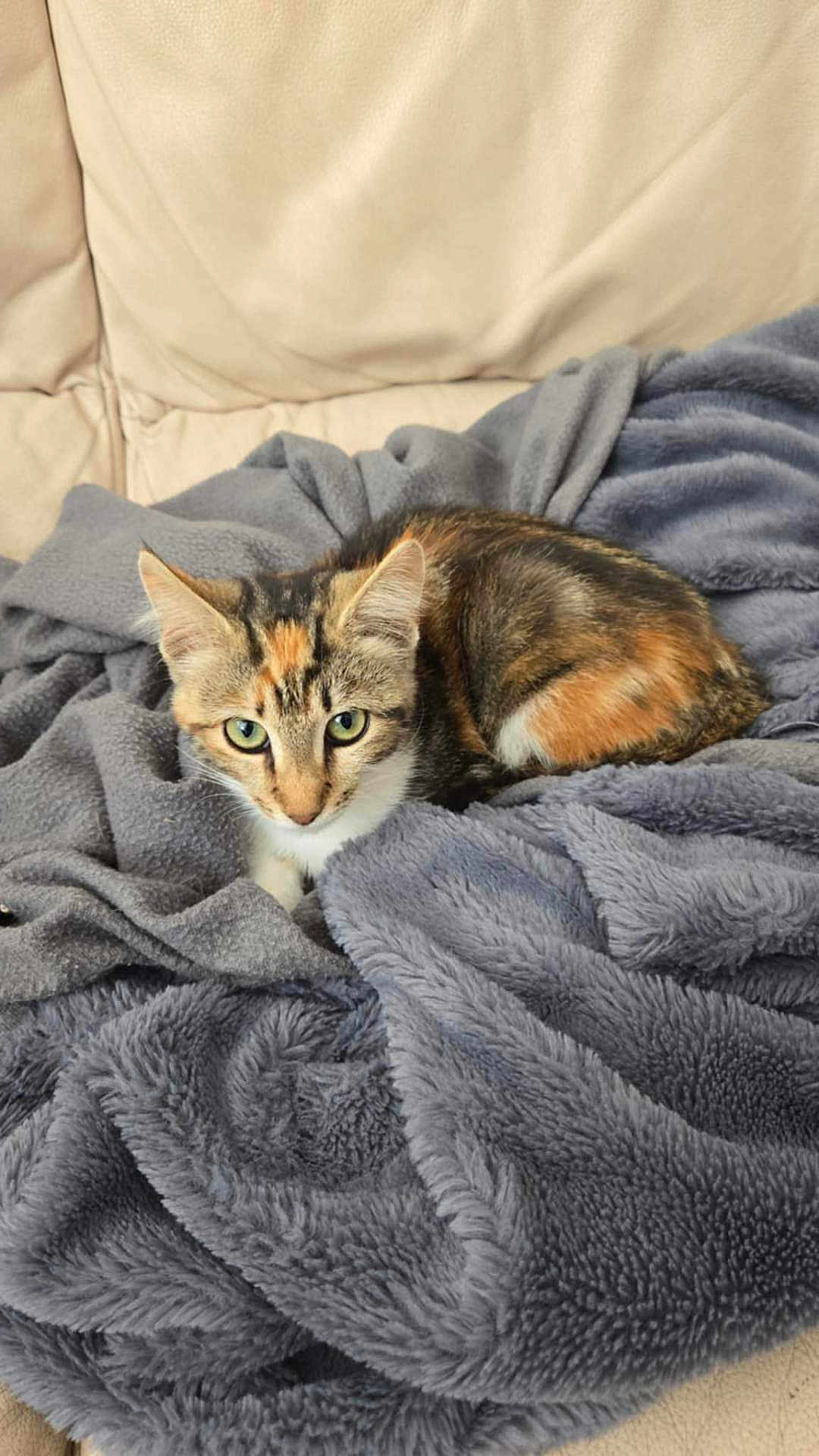 Pirouette