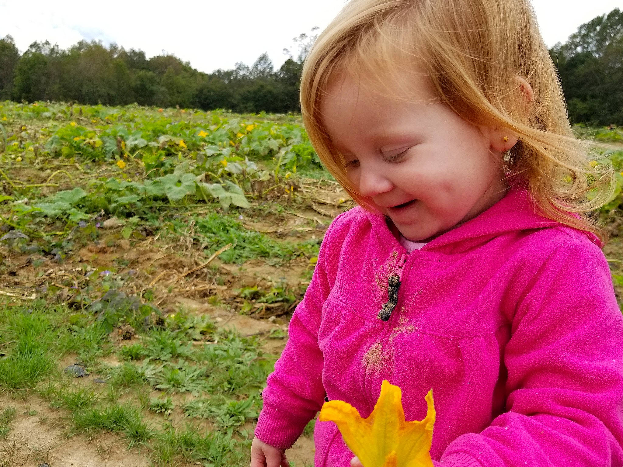 Lily Mae is registered to the contest to win money with this photo: child, flower, fun, garden, girl, grass, happiness, infant, leaf, meadow, person, pink, plant, play, smile, soil, spring, summer, toddler, tree