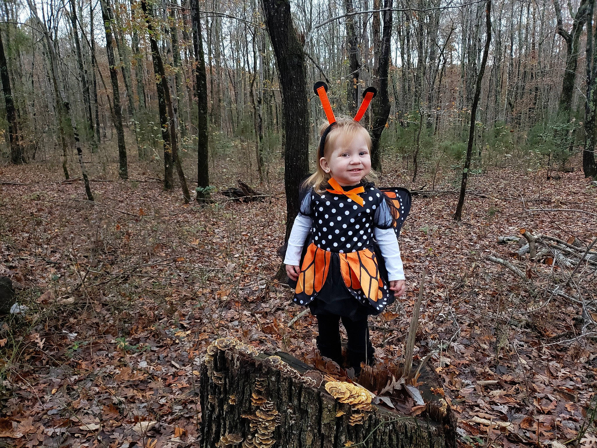Lily Mae joined the competition — help win amazing prizes! adventure, autumn, child, forest, leaf, person, plant, recreation, tree, vertebrate, wood, woodland