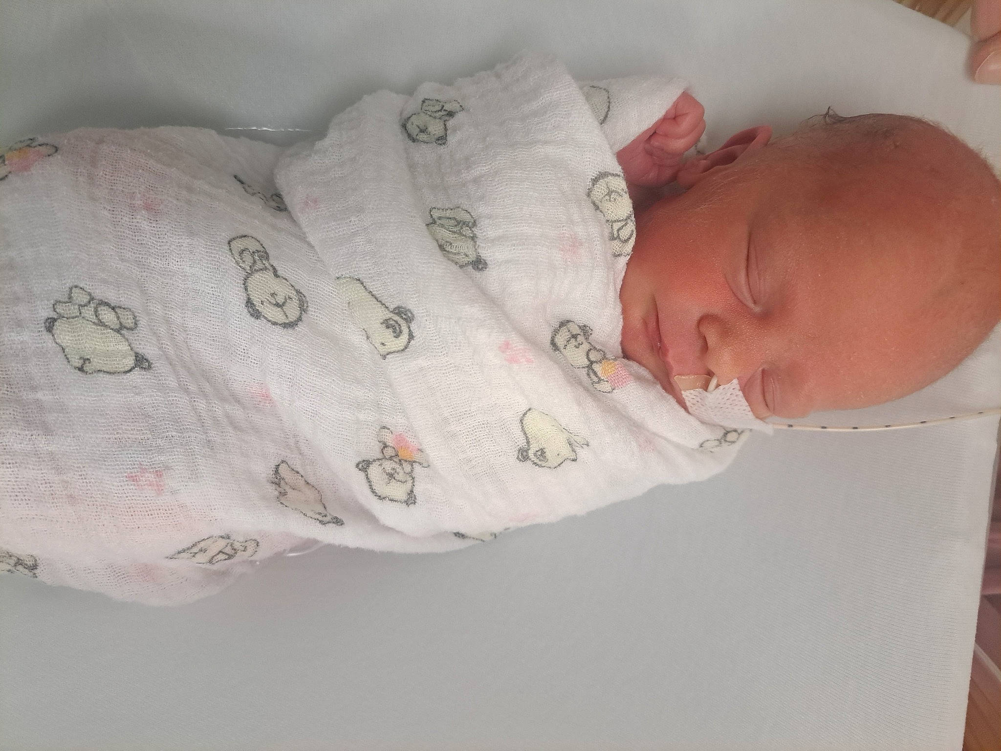 Octavia is registered to the contest to win money with this photo: baby, baby_products, baby_sleeping, bedding, bedtime, child, childbirth, comfort, flesh, human_body, linens, nap, pattern, person, room, sleep, sleeve, toddler