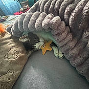 Oreo is registered to the contest to win money with this photo: cat, blanket, bed, pillow, toy, plush, indoor, cozy, sleeping, fur, pet, comfort, soft, resting, animal, cute, relaxing, feline, home, snuggling