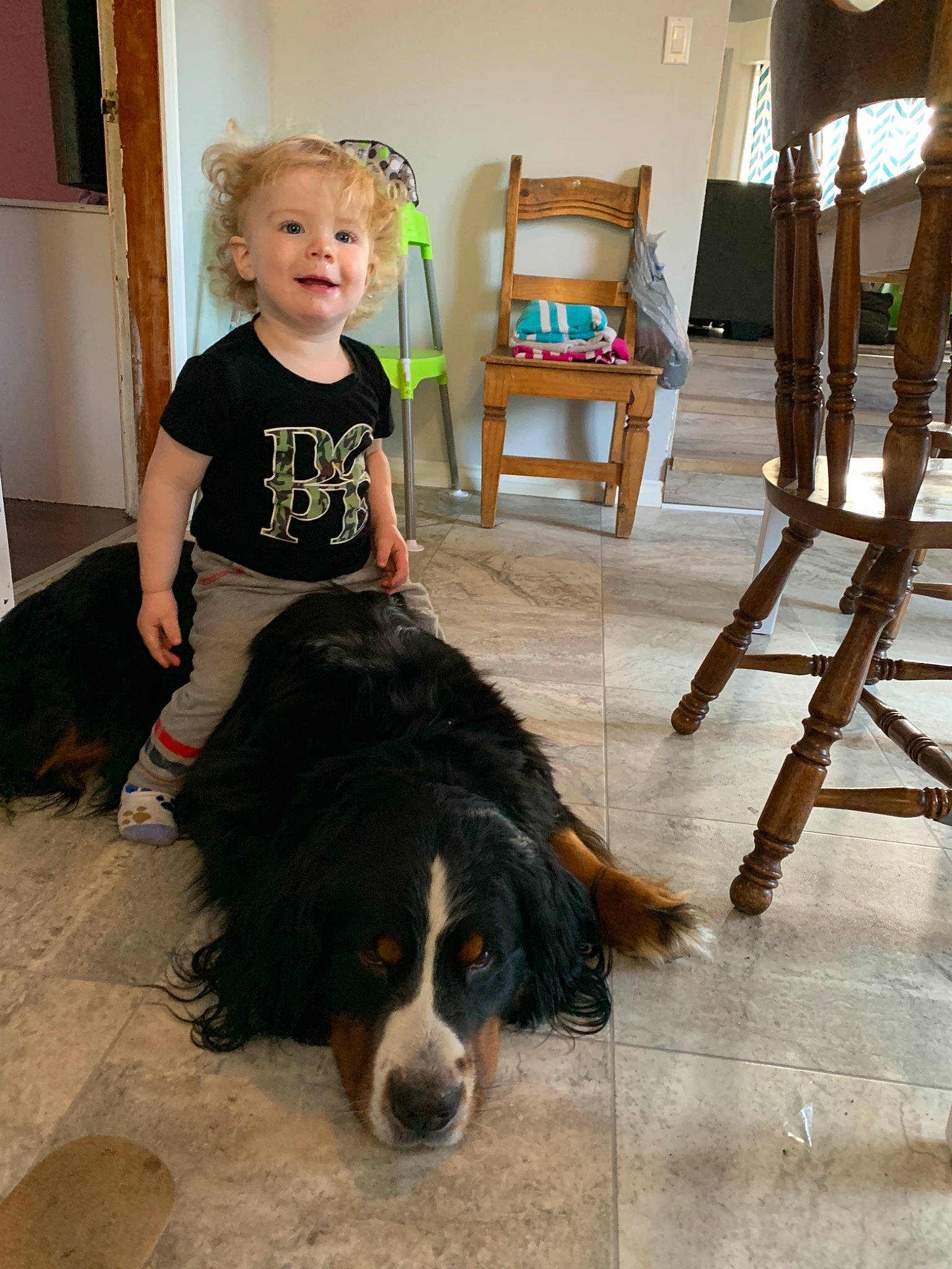Kessler joined the competition — help win amazing prizes! bernese_mountain_dog, canidae, carnivore, companion_dog, dog, dog_breed, floor, greater_swiss_mountain_dog, person, sporting_group, working_dog