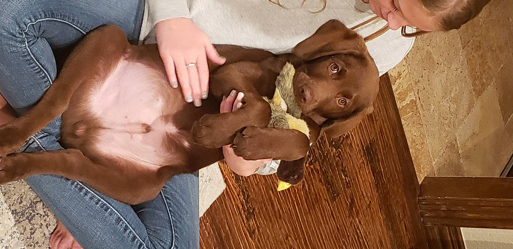 Bear is registered to the contest to win money with this photo: brown, denim, ear, finger, flesh, gesture, human, interaction, joint, muscle, nail, organ, skin, temple, thumb, wrinkle