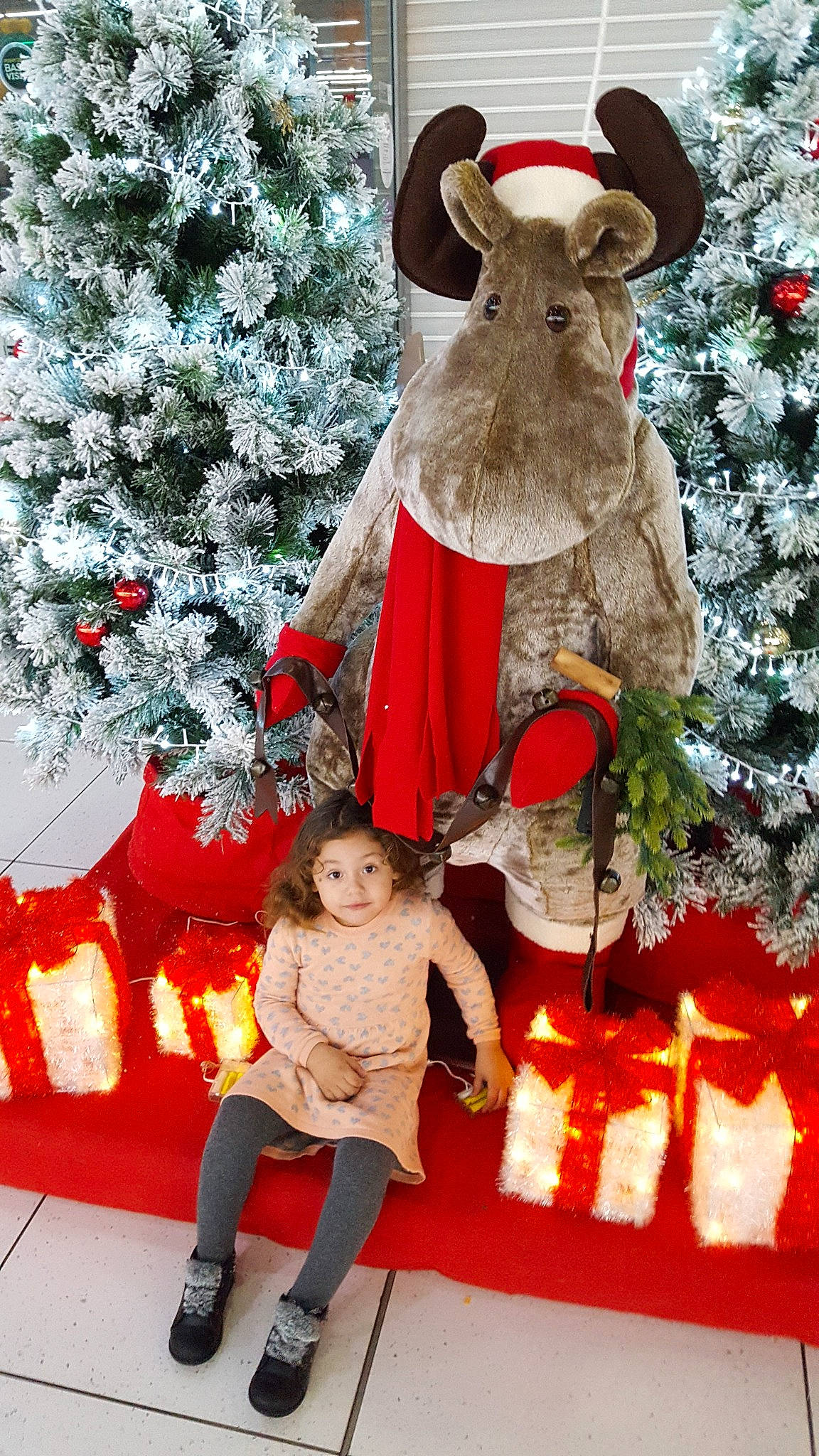 Aliya a rejoint le concours — aidez-le/la à gagner de superbes lots ! christmas, christmas_decoration, christmas_ornament, christmas_tree, event, fictional_character, fun, holiday, person, reindeer, santa_claus, tradition, tree, winter