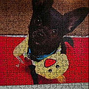 Koda is registered to the contest to win money with this photo: dog, black_dog, jigsaw_puzzle, puzzle, yellow_shirt, red_background, website_screenshot, mobile_browser, text_overlay, shopping_cart_icon, search_icon, navigation_menu, free_shipping_banner, product_page, pet, animal, collar, close_up, photo_of_photo, internet