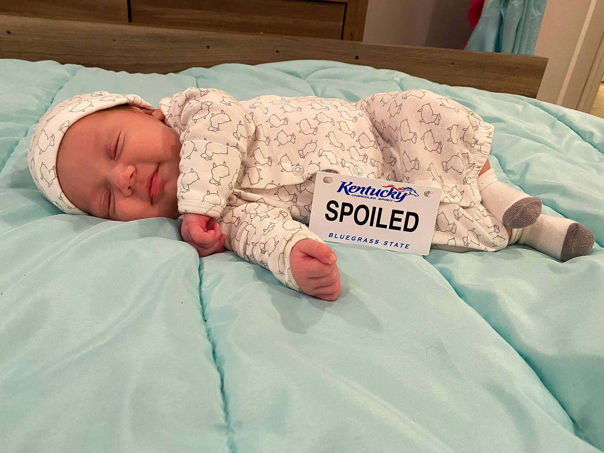 Mattea is registered to the contest to win money with this photo: baby, baby_products, baby_sleeping, baby_toddler_clothing, bed, bed_sheet, bedding, bedtime, child, comfort, couch, duvet, eye, head, headwear, linens, nap, person, room, skin