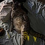 cat, tabby, bed, blanket, fur, relaxed, indoor, animal, pet, sleepy, stretching, cozy, feline, whiskers, paw, tail, soft_light, domestic, resting, comfort