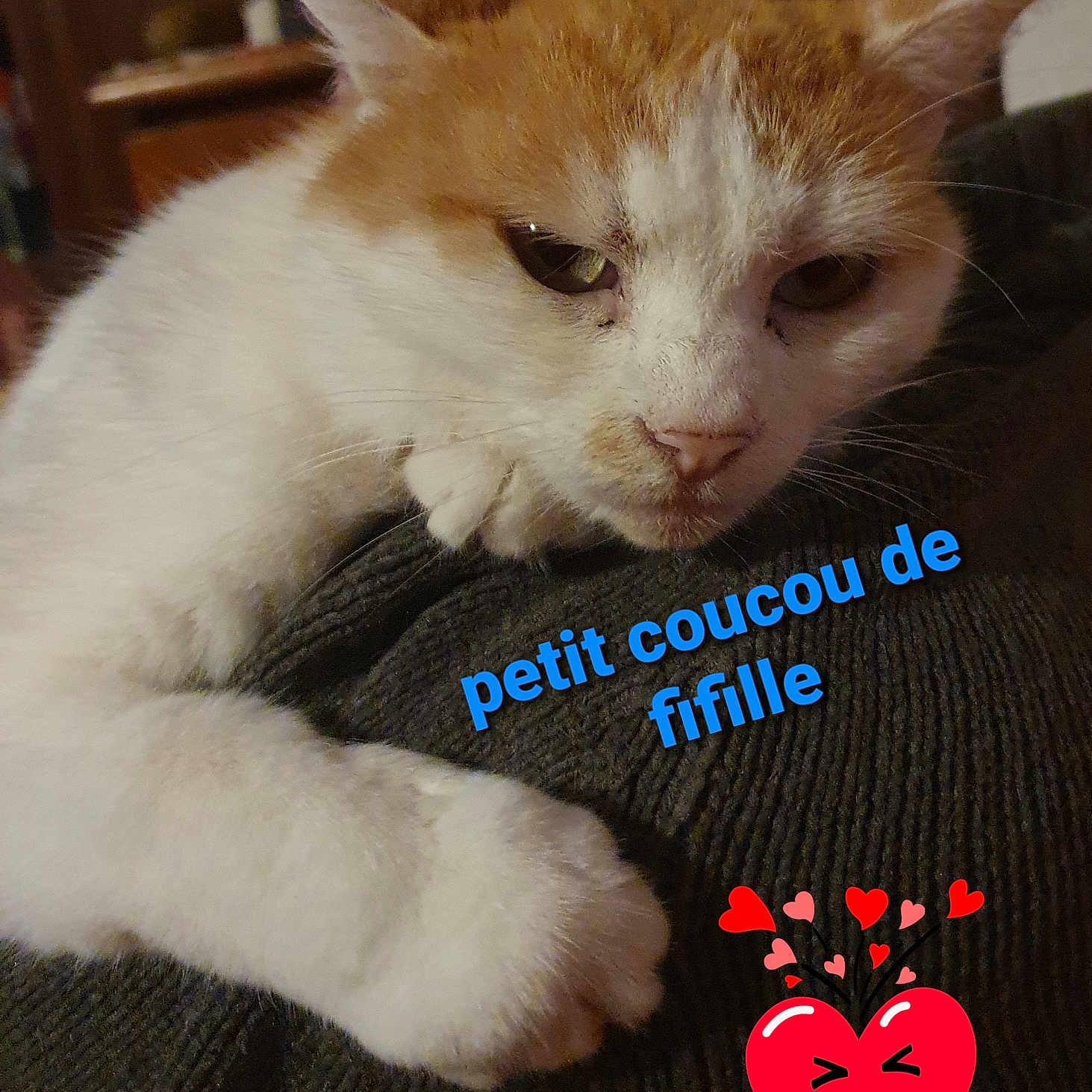 Fifille