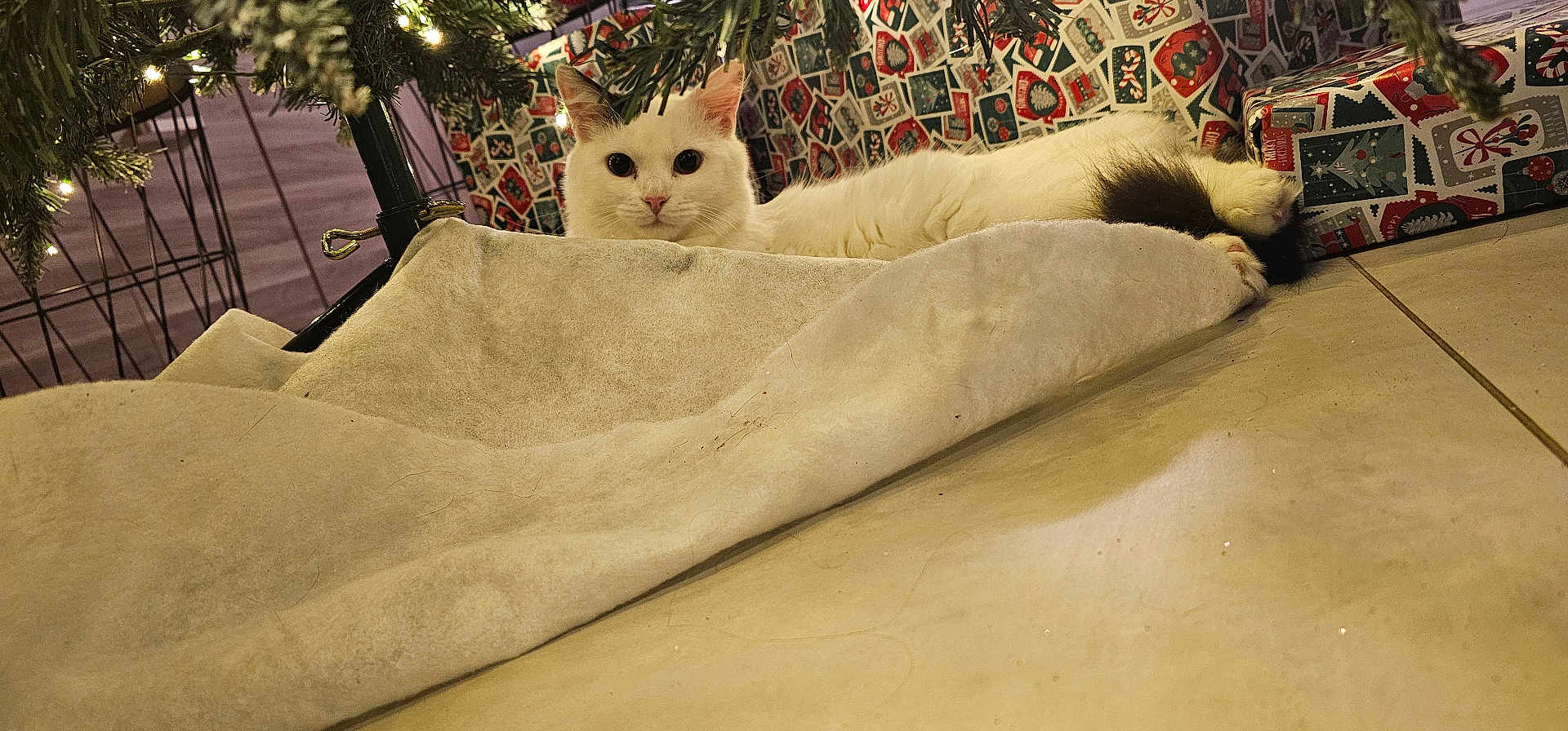 Rajah