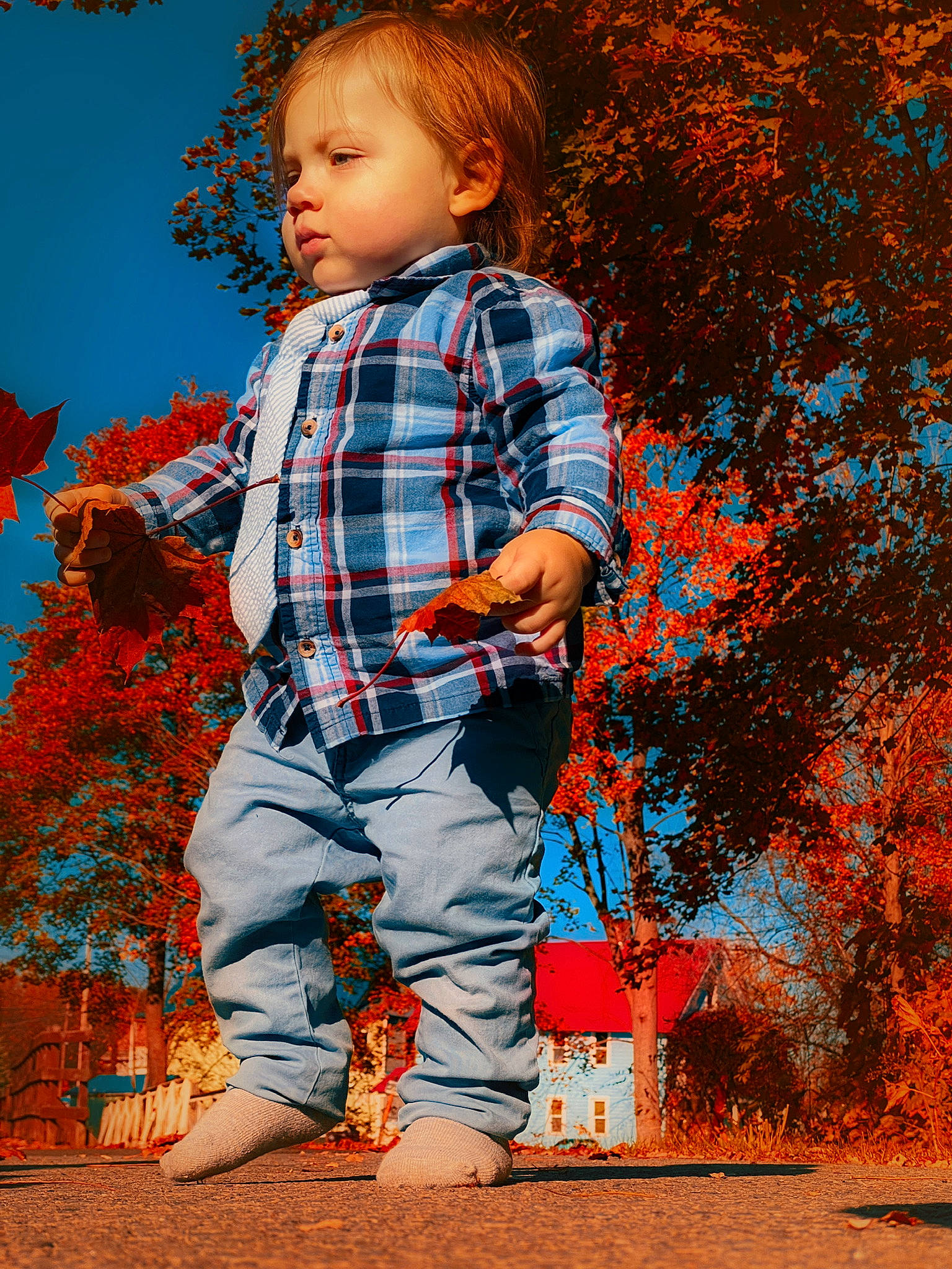 Colton joined the competition — help win amazing prizes! brown_hair, child, denim, electric_blue, grass, hair, happy, orange, pattern, people_in_nature, person, plaid, plant, red, sleeve, tartan, tints_and_shades, toddler, tree, waist