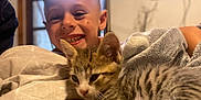 Gucci participe au concours pour gagner de l'argent avec cette photo : blanket, cat, child, closeup, comfort, cozy, cuddling, cute, fur, happy, home, indoor, kitten, person, portrait, relaxed, smiling, tabby, warm_light, young
