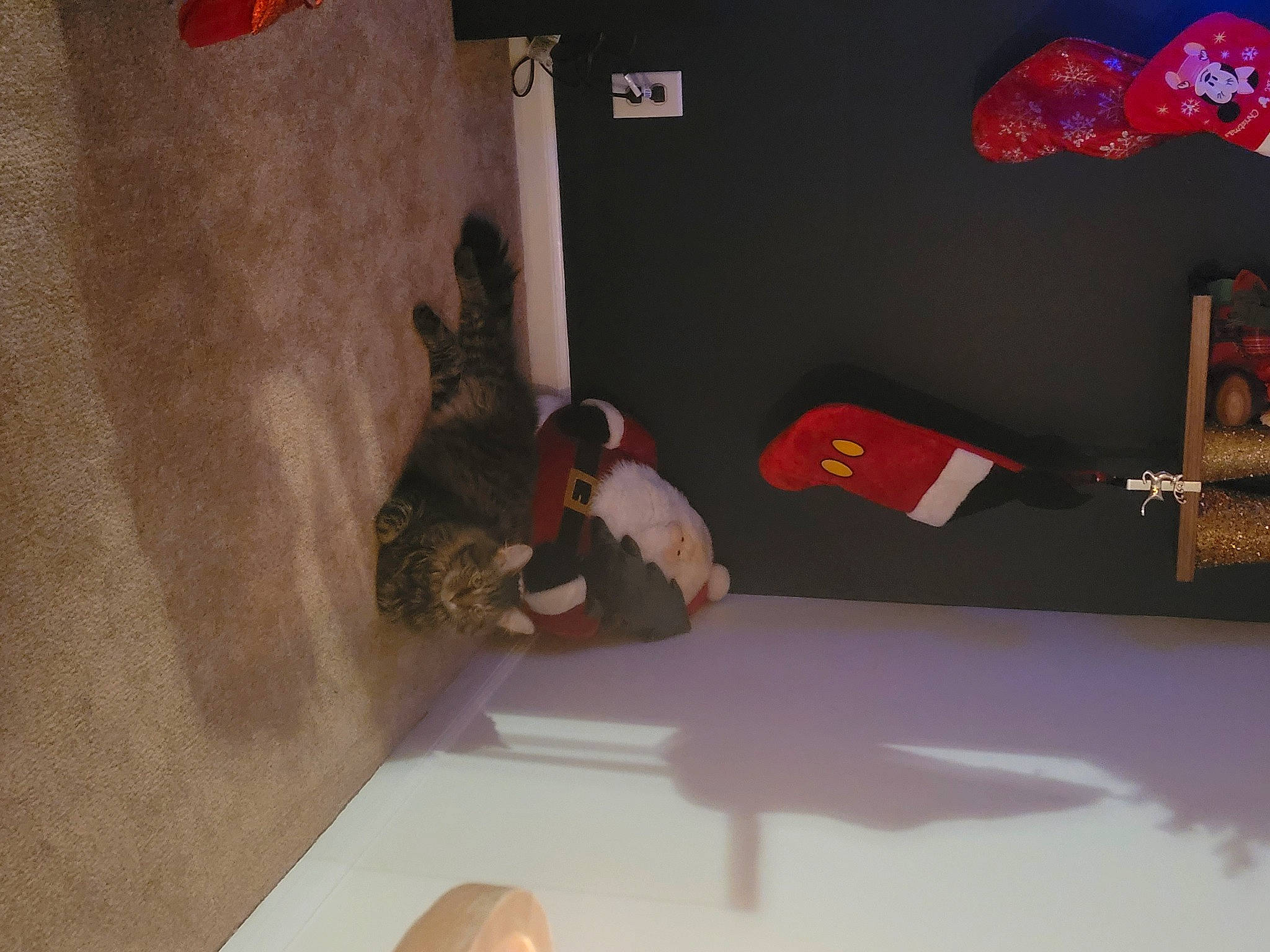 Hershey joined the competition — help win amazing prizes! adventure, carmine, ceiling, comfort, elbow, flooring, font, fun, hardwood, knee, recreation, room, toy, visual_arts, wood