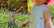 Dorothea joined the competition — help win amazing prizes! brick_wall, child, curious, daylight, floral_pattern, flowers, garden, grass, greenery, nature, outdoor, person, pink_hat, portrait, purple_flowers, summer, sunlight, toddler, white_dress, young_child