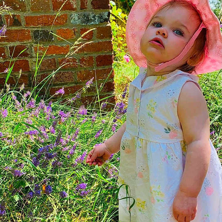 Dorothea is registered to the contest to win money with this photo: brick_wall, child, curious, cute, daylight, floral_dress, flowers, garden, grass, greenery, nature, outdoor, pink_hat, portrait, purple_flowers, standing, summer, sunlight, toddler, young_child