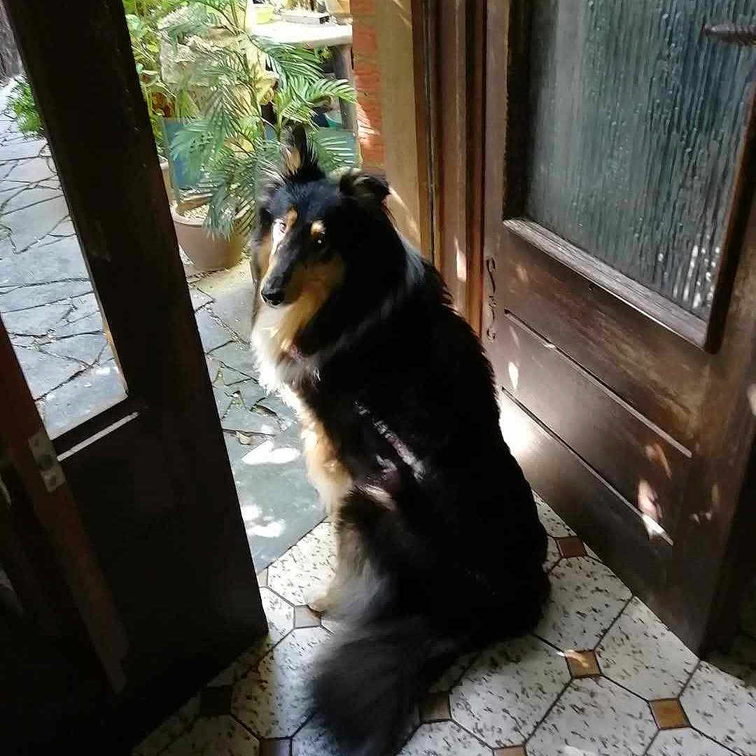 Babyboy Lassymiracle