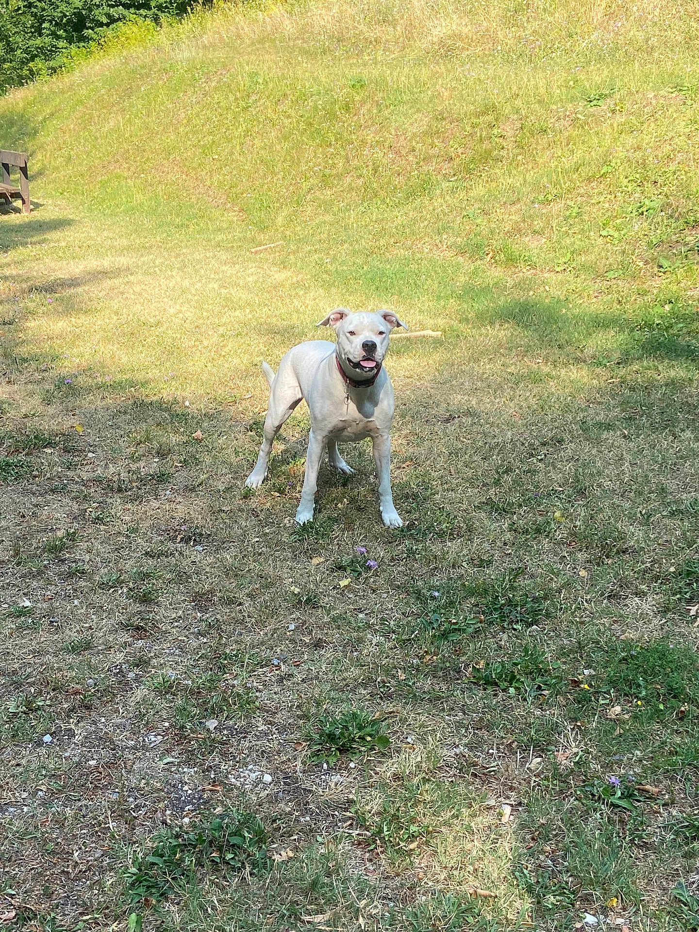 Rita