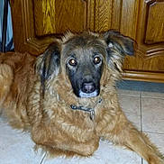 Ceedie participe au concours pour gagner de l'argent avec cette photo :