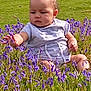 Yléana participe au concours pour gagner de l'argent avec cette photo : baby, child, flower_field, purple_flowers, grass, outdoor, nature, greenery, summer, sunlight, sitting, curious, serious_expression, infant, person, young_child, plants, scenic, daylight, casual_clothing