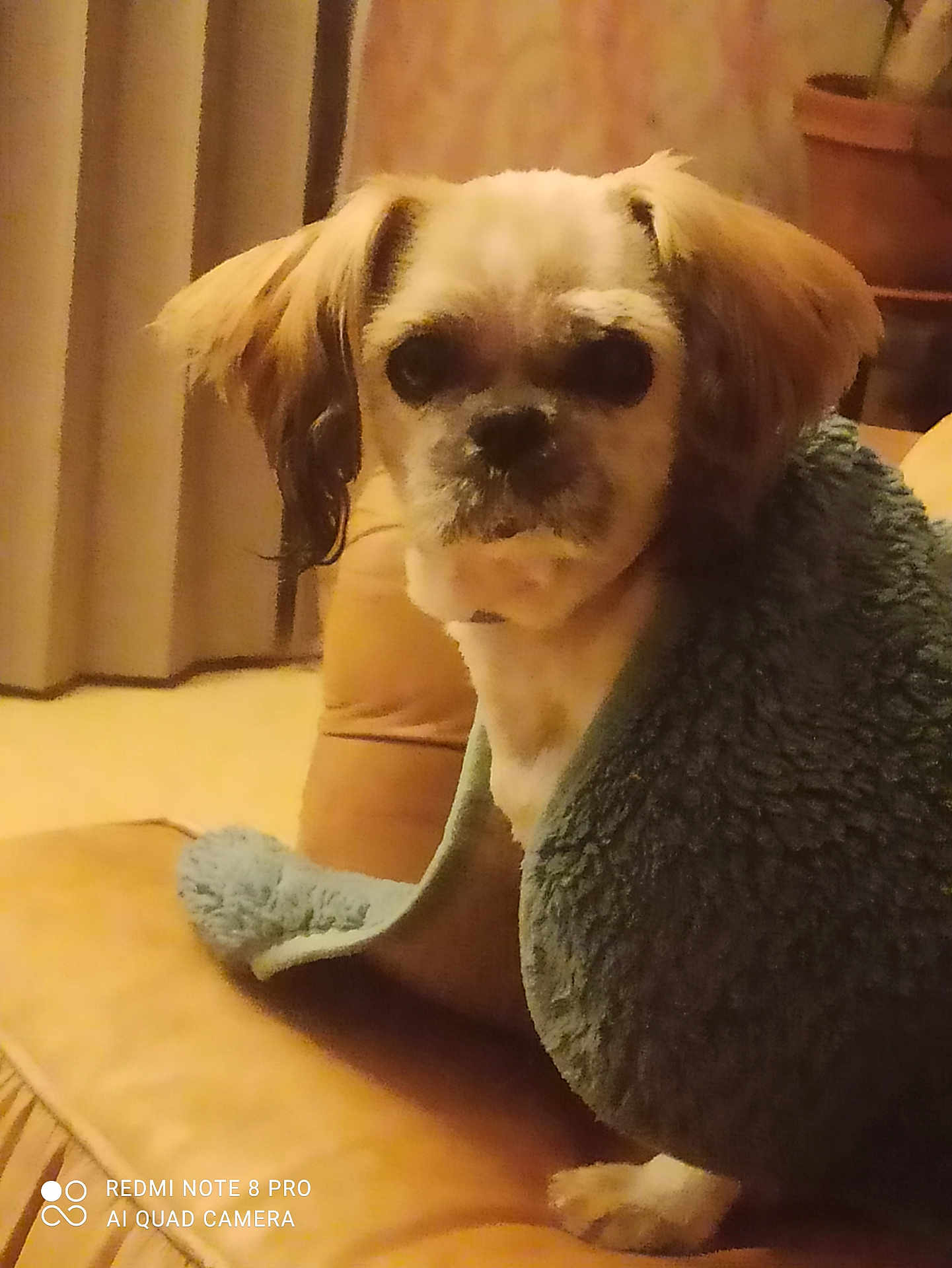 Naméo