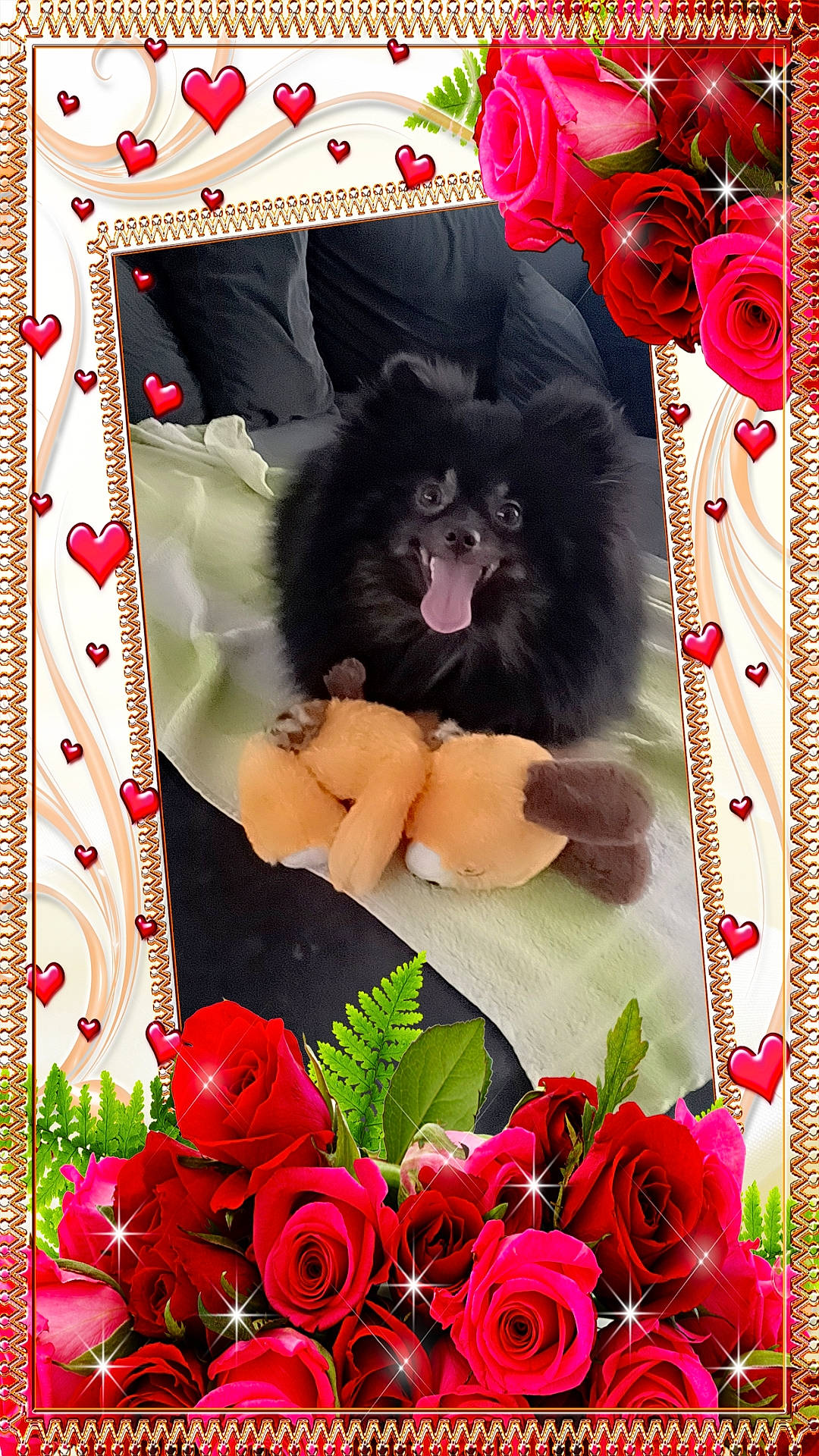 Usky a rejoint le concours — aidez-le/la à gagner de superbes lots ! animal, art, canine, collage, dahlia, dog, envelope, floraldesign, flower, flowerarrangement, flowerbouquet, geranium, graphics, greetingcard, mail, pattern, pet, petal, plant, rose