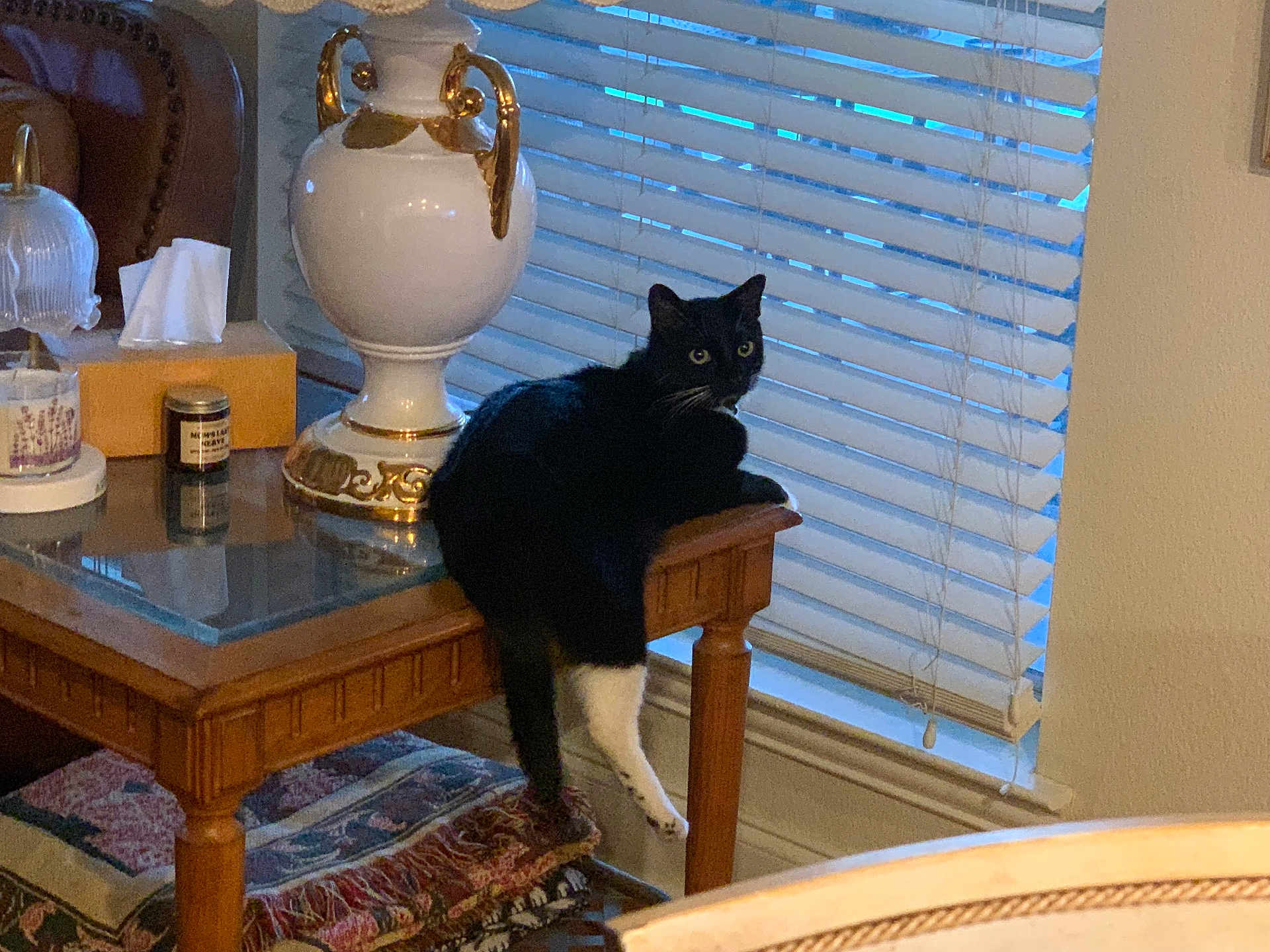 Socks