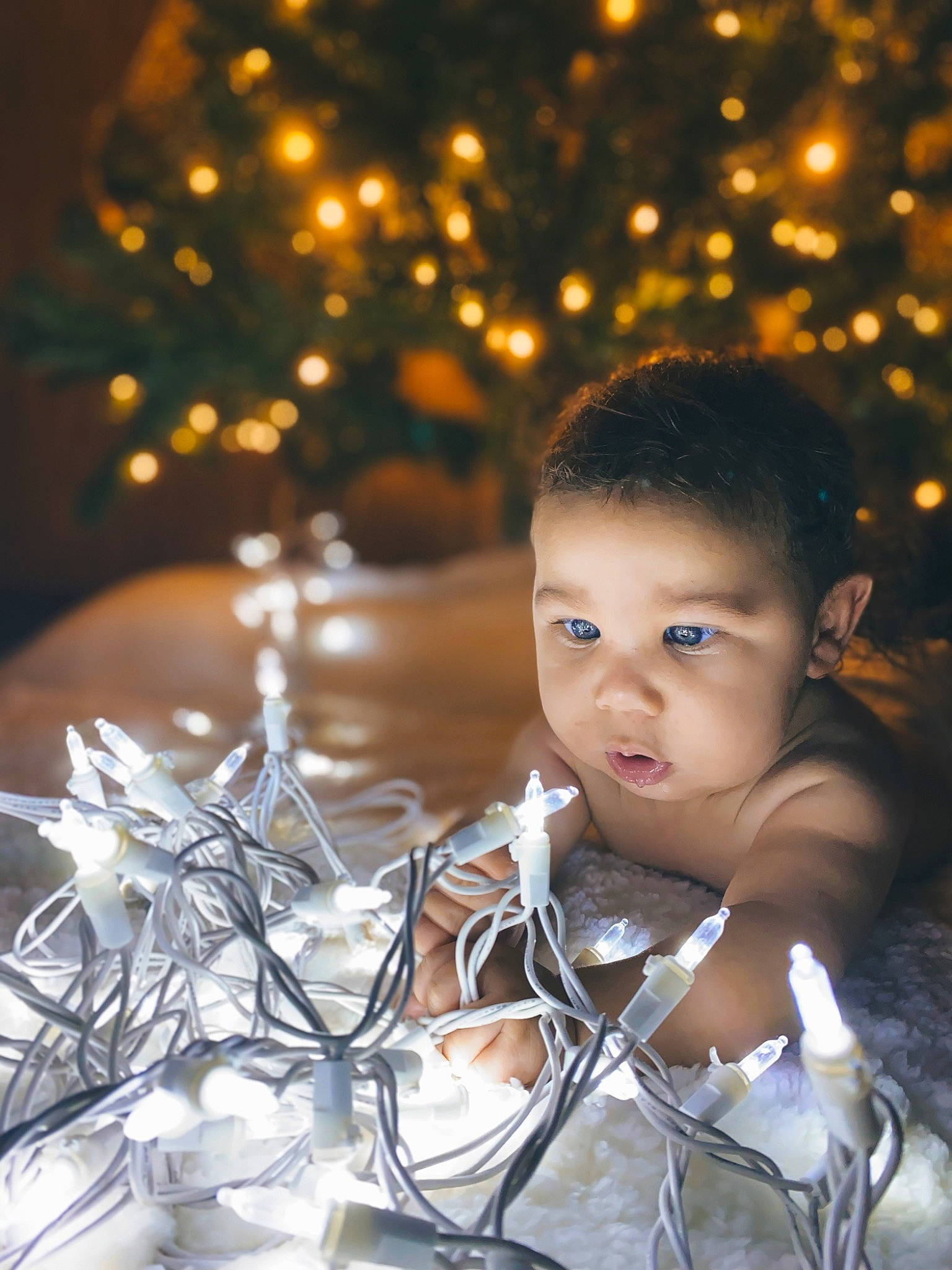 Levi is registered to the contest to win money with this photo: beauty, branch, child, christmas_decoration, christmas_ornament, event, flash_photography, fun, happy, light, lighting, ornament, people_in_nature, person, photograph, plant, toddler, tradition, tree, twig