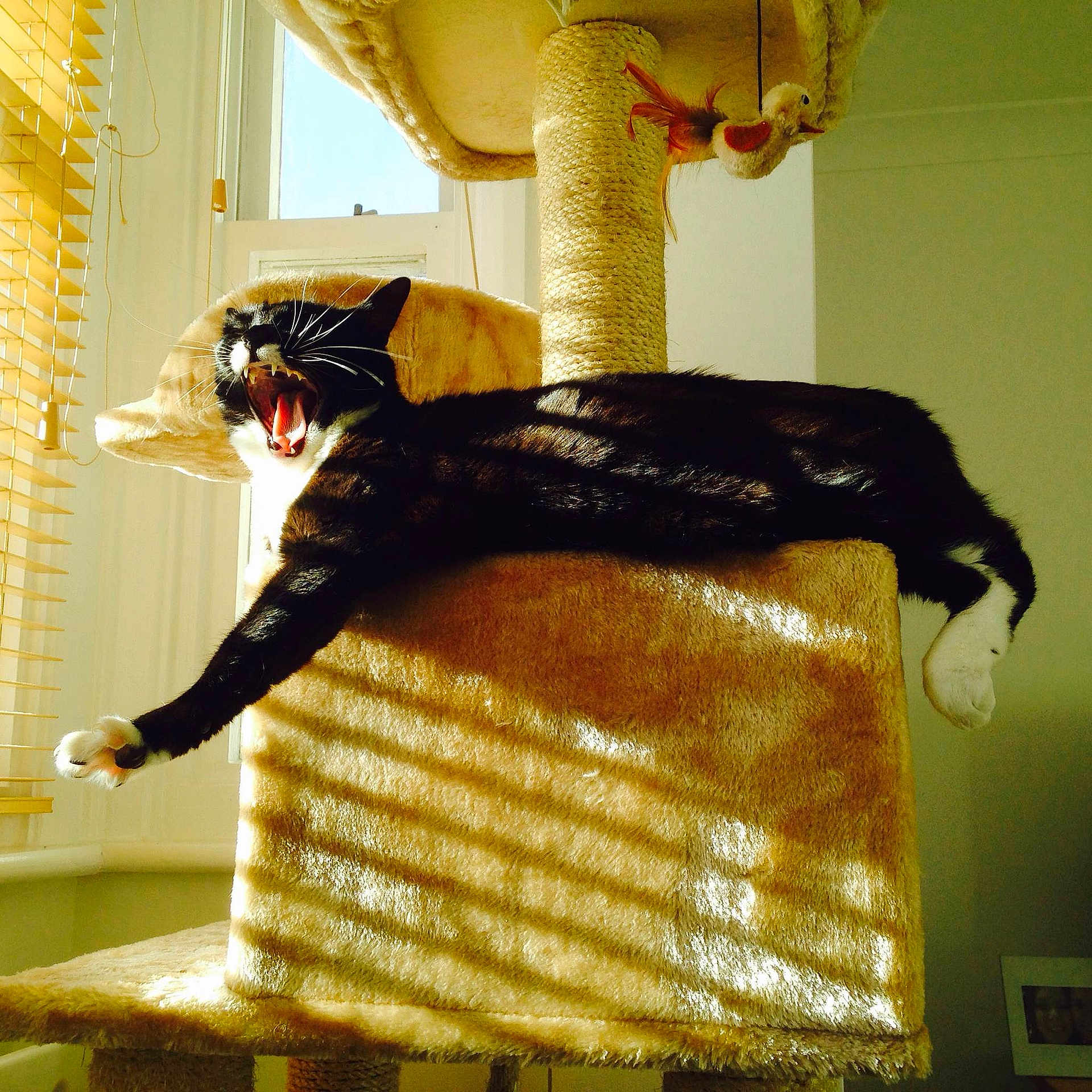 Molly is registered to the contest to win money with this photo: